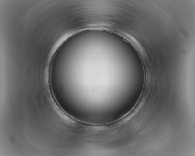 X0000111481196200907141211