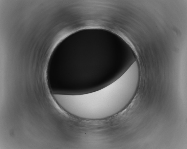X0000111481197200907141211