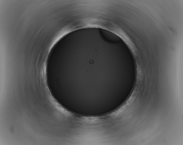 X0000111481198200907141211