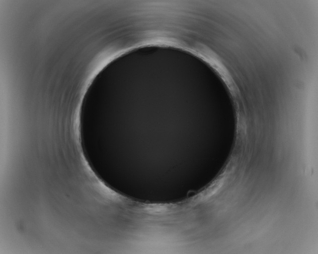 X0000111481199200907141211