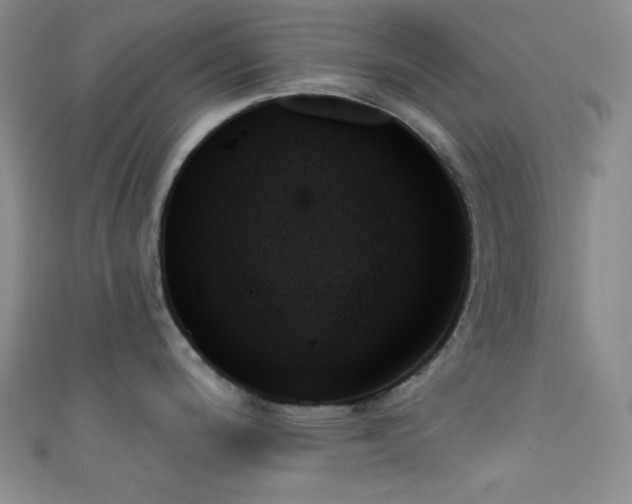 X0000111481200200907141211