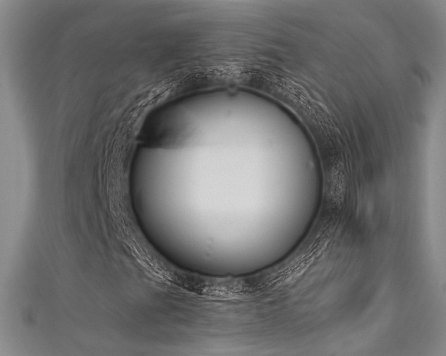 X0000111481201200907141210