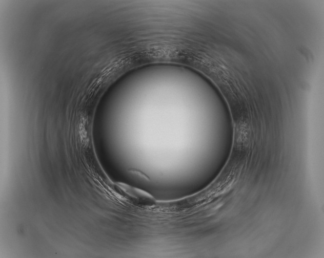 X0000111481202200907141210
