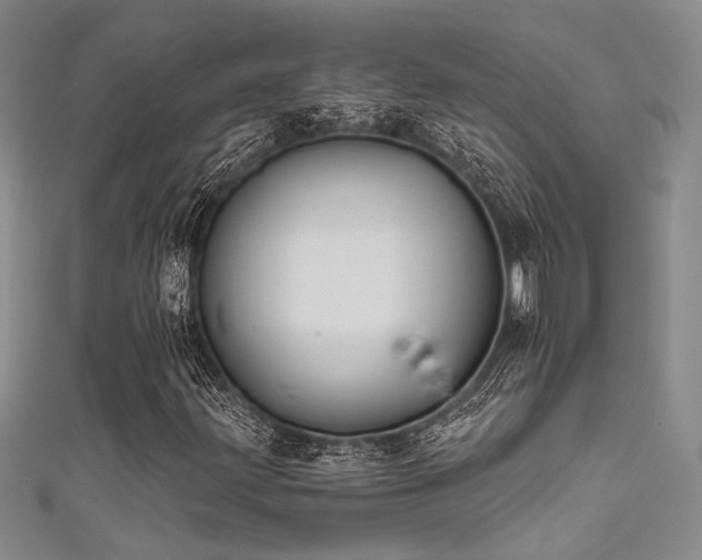 X0000111481203200907141210