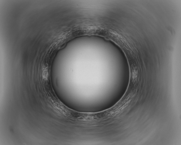 X0000111481204200907141210