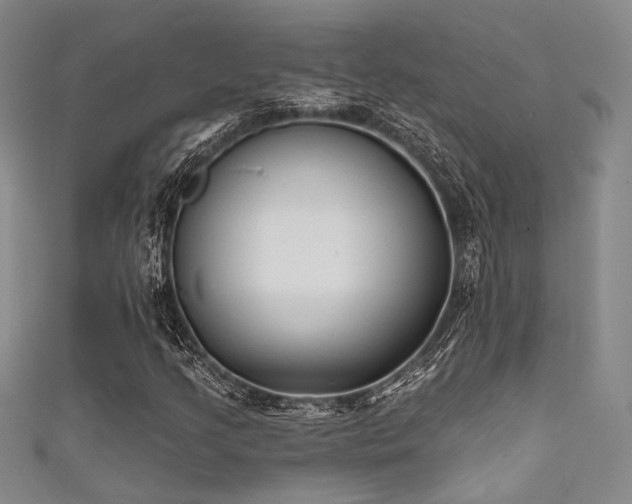 X0000111481205200907141210