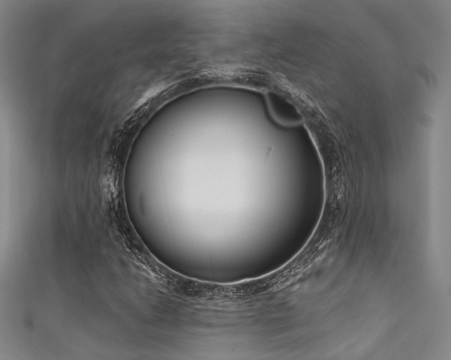 X0000111481206200907141210