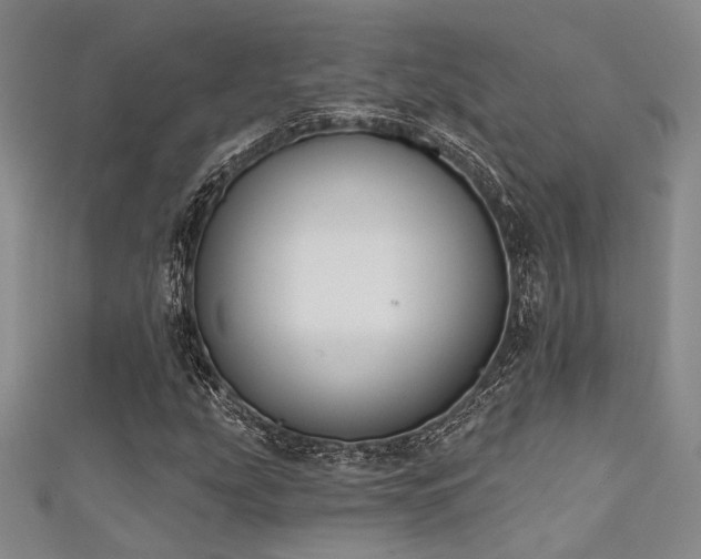 X0000111481207200907141210