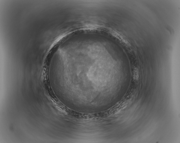 X0000111481208200907141210