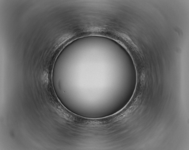 X0000111481209200907141210
