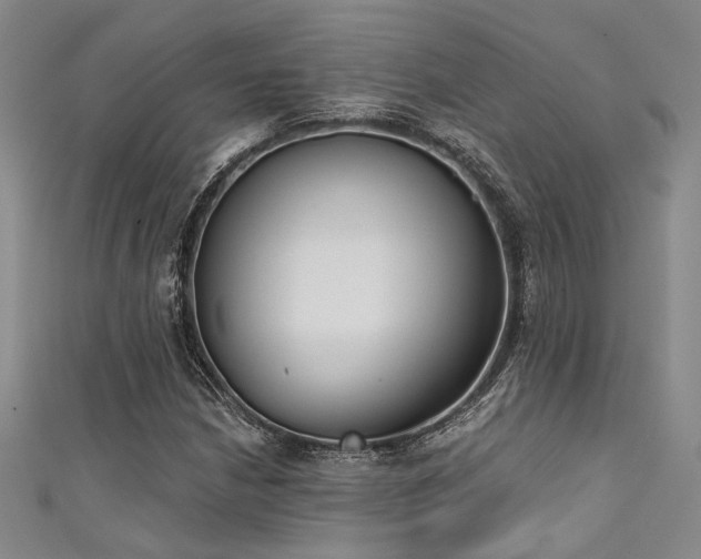 X0000111481210200907141210