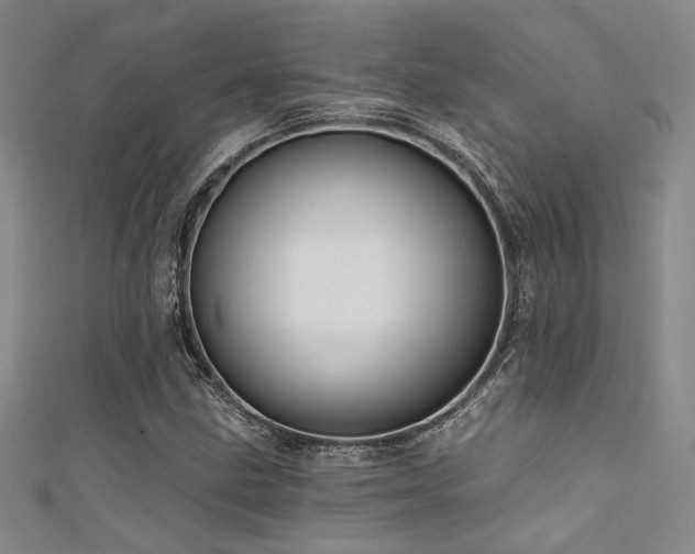 X0000111481211200907141210