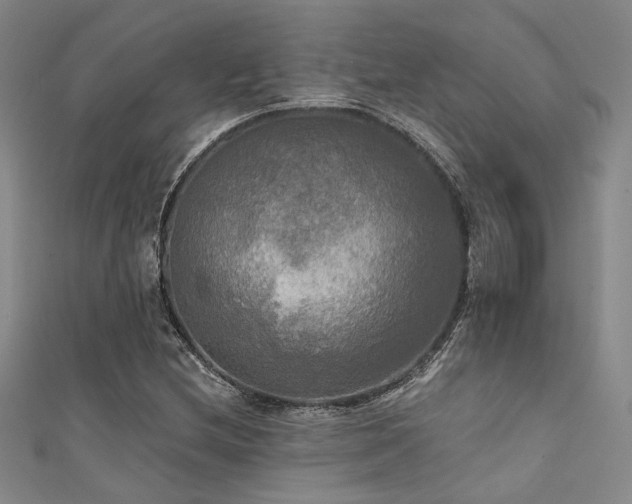 X0000111481212200907141210