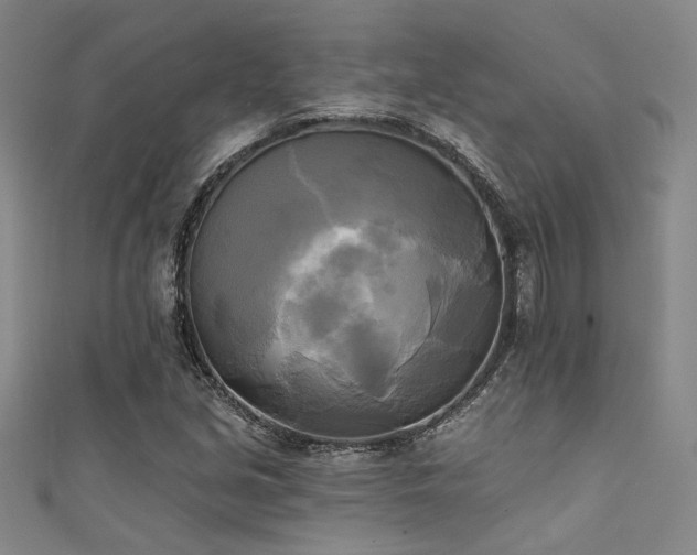X0000111481213200907141210