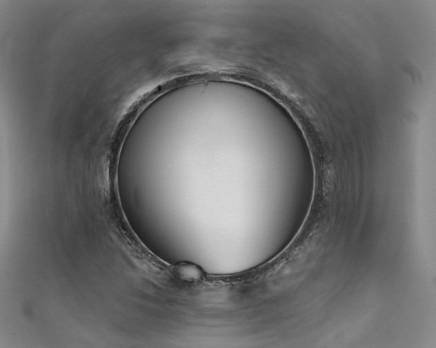 X0000111481214200907141210