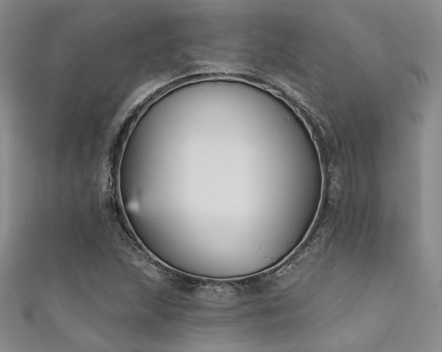 X0000111481215200907141210