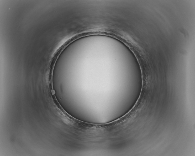 X0000111481216200907141210