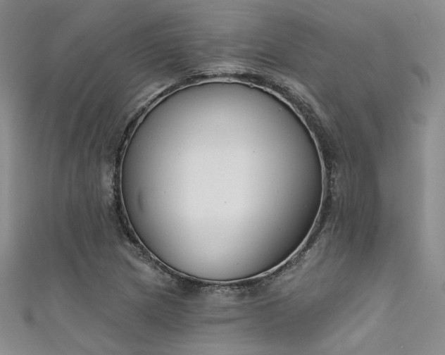 X0000111481217200907141210