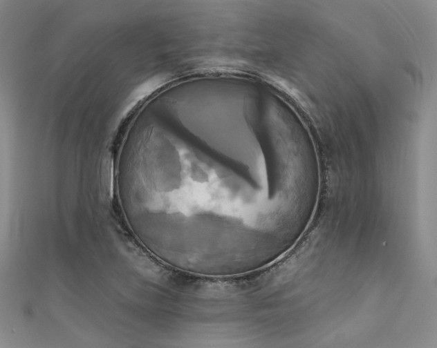 X0000111481219200907141210