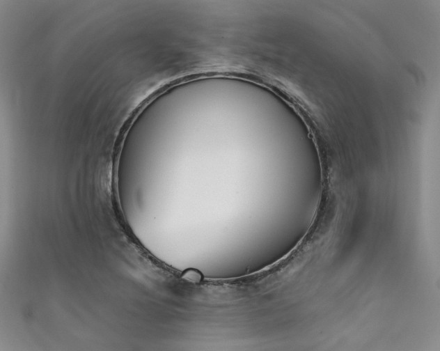 X0000111481220200907141210