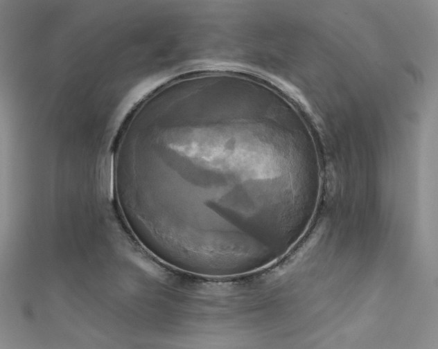 X0000111481223200907141210