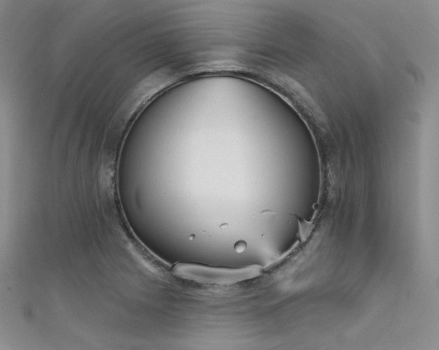 X0000111481225200907141210