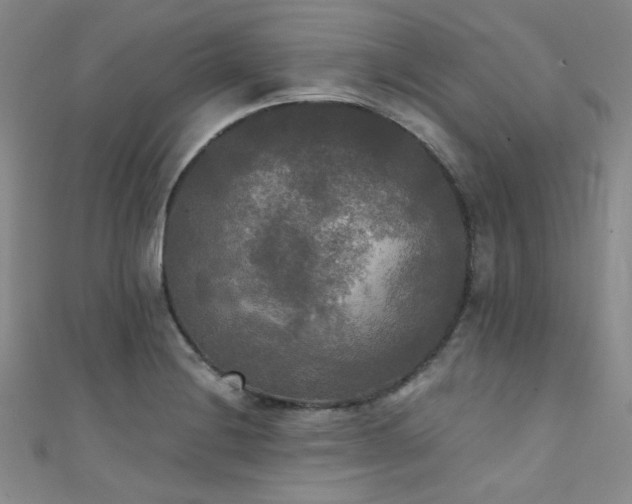 X0000111481228200907141210