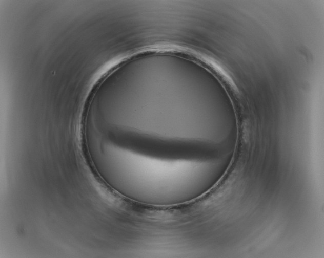 X0000111481229200907141210