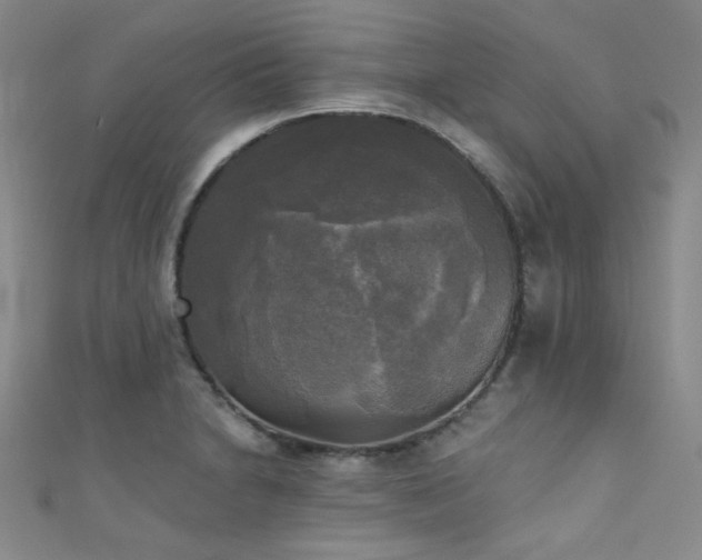 X0000111481230200907141210