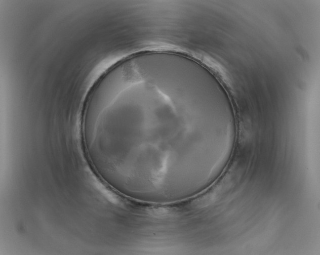 X0000111481231200907141210