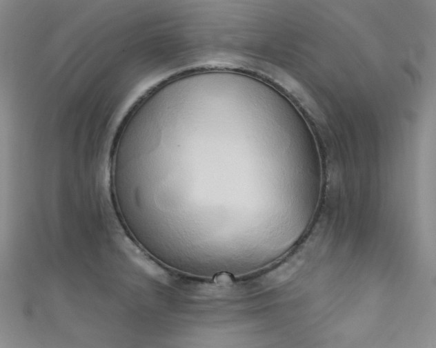 X0000111481232200907141210