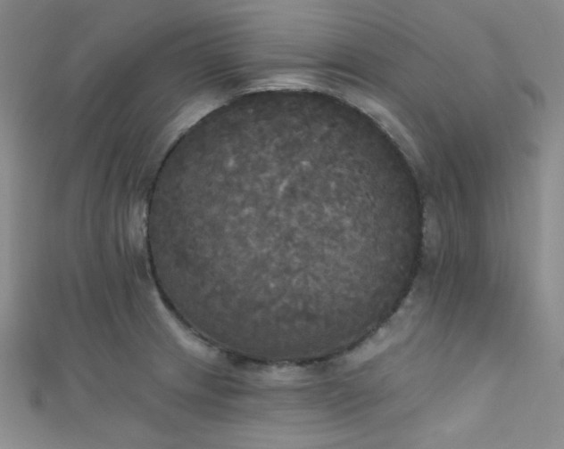 X0000111481233200907141210