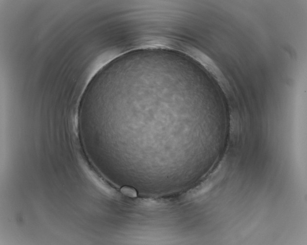 X0000111481234200907141210
