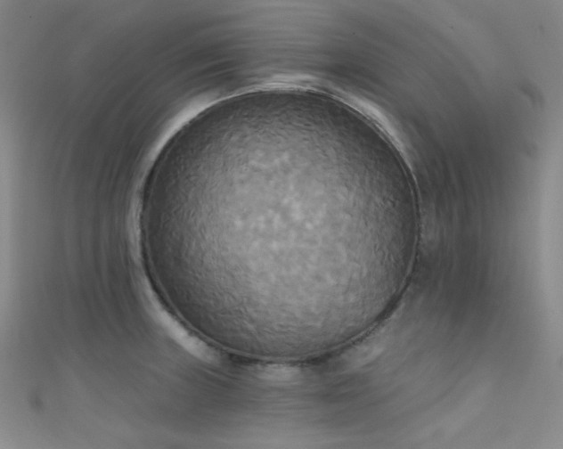 X0000111481235200907141210