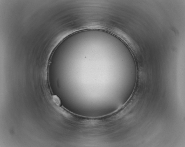 X0000111481236200907141210