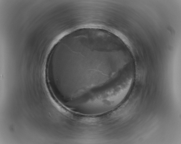 X0000111481237200907141210