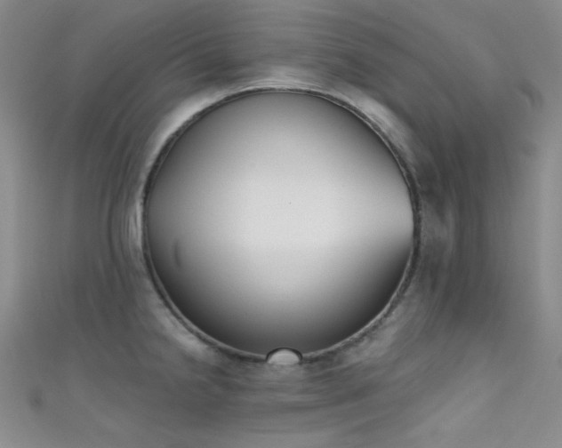 X0000111481238200907141210