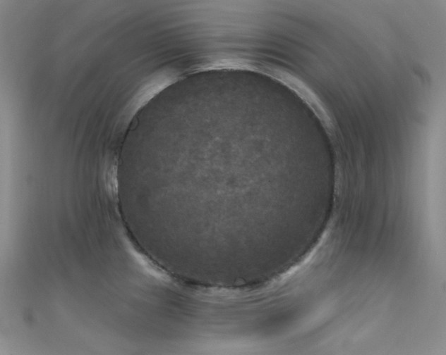 X0000111481241200907141211