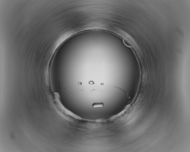 X0000111481242200907141211