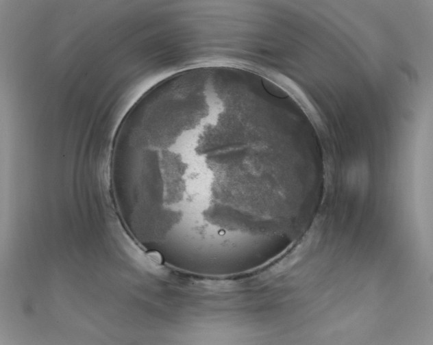 X0000111481244200907141211