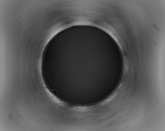 X0000111481245200907141211