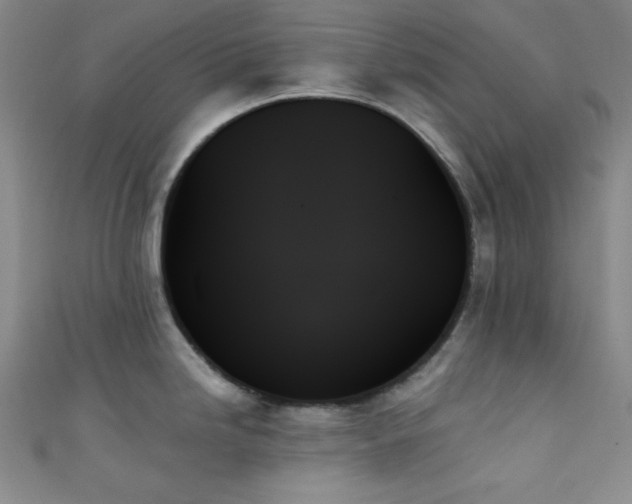 X0000111481246200907141211