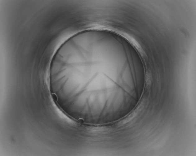 X0000111481247200907141211