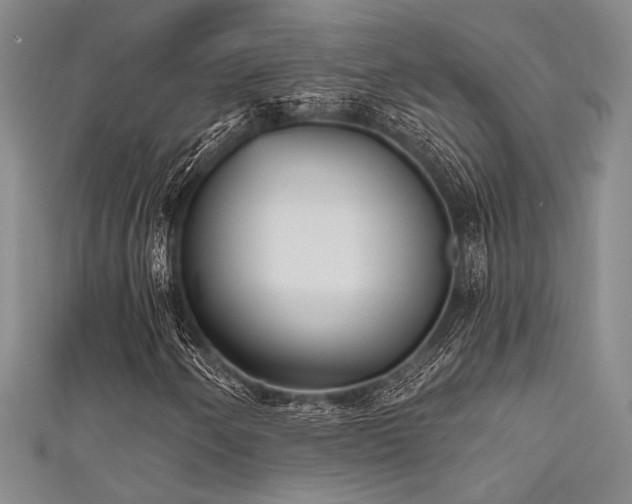 X0000111481250200907141210