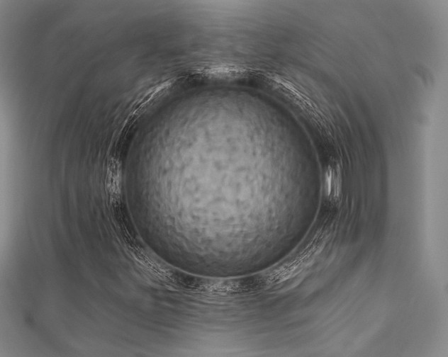 X0000111481251200907141210