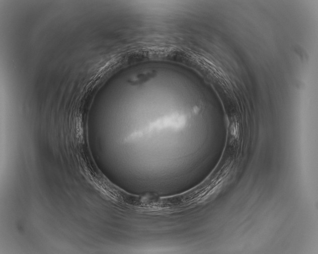 X0000111481252200907141210