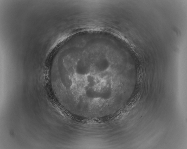 X0000111481255200907141210