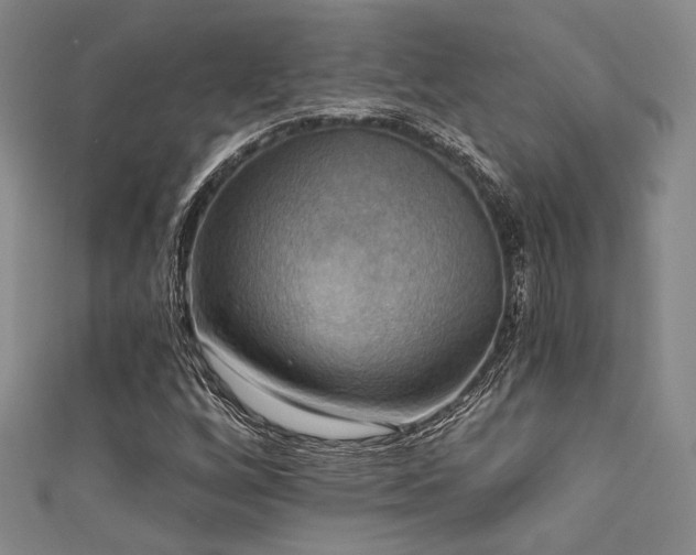 X0000111481256200907141210