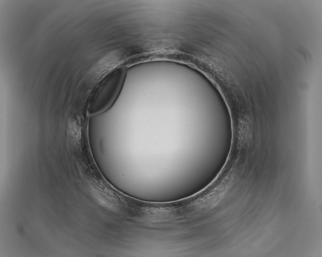 X0000111481257200907141210