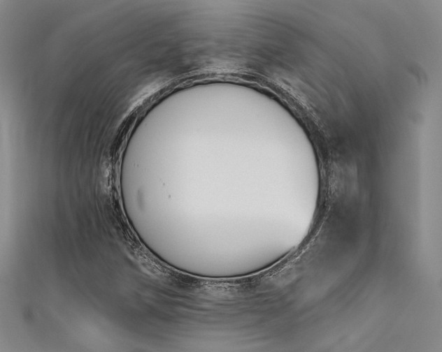 X0000111481258200907141210